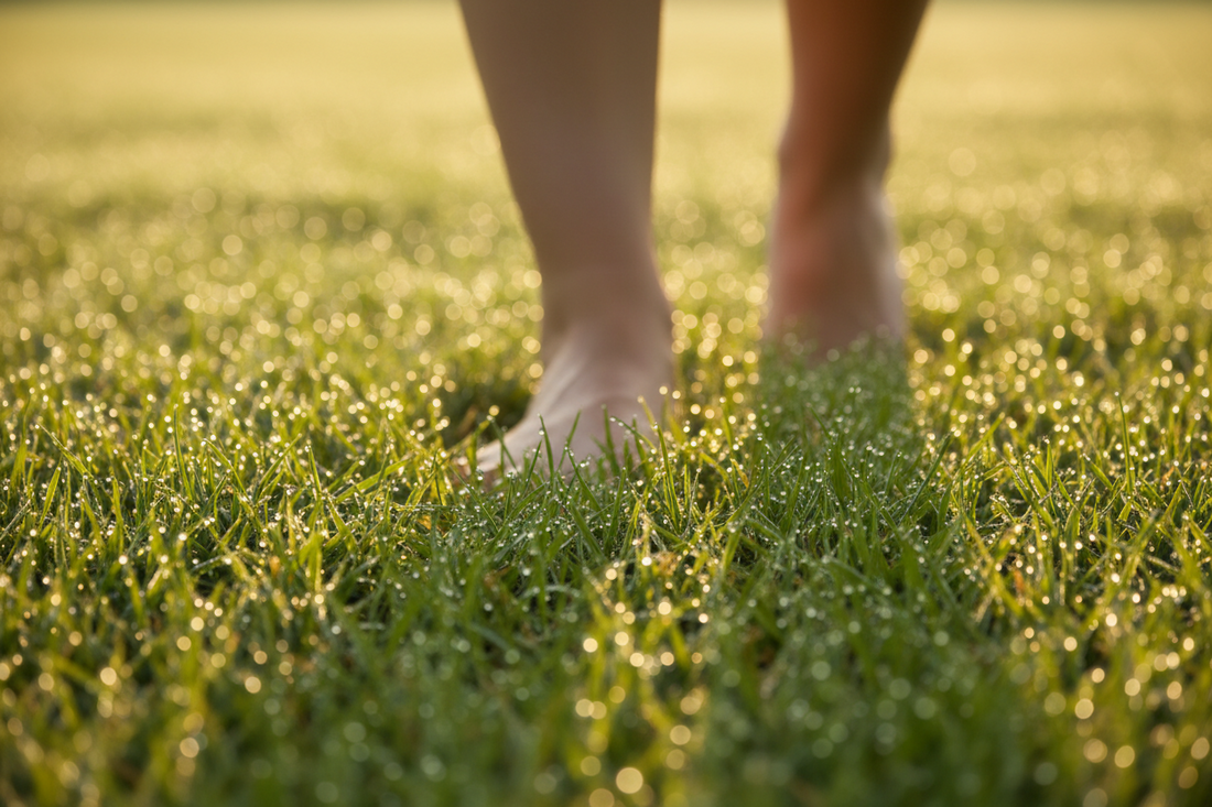 The Morning Ground: A barefoot ritual — to meet the earth before the day begins, and let it steady you.